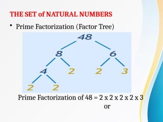 THE SET of NATURAL NUMBERS
• Prime Factorization (Factor Tree)
Prime Factorization of 48 = 2 x 2 x 2 x 2 x 3
or
 