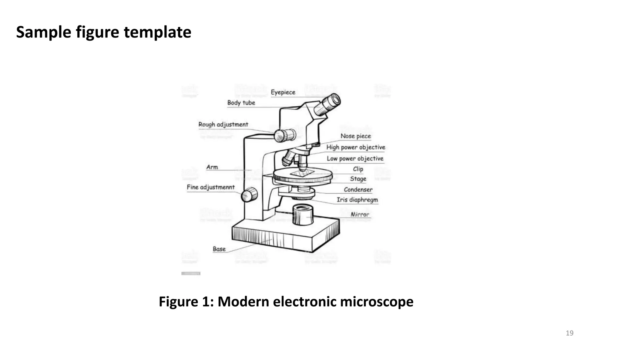 PPT FOR VIVA VOCE EXAMINATION pptx ppt-for-viva-voce-examination-pptx