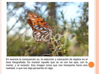 En esencia la composición es, la selección y colocación de objetos en el
área fotografiada. Es mostrar aquello que se ve con los ojos, con la
mente, y el corazón. Esa imagen única que nos transporta hacia otra
realidad, o que nos deja pensando en algo.
 