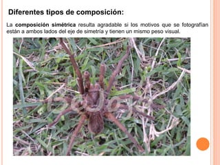Diferentes tipos de composición:
La composición simétrica resulta agradable si los motivos que se fotografían
están a ambos lados del eje de simetría y tienen un mismo peso visual.
 