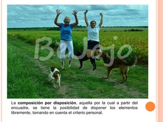 La composición por disposición, aquella por la cual a partir del
encuadre, se tiene la posibilidad de disponer los elementos
libremente, tomando en cuenta el criterio personal.
 