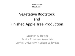 Vegetative Rootstock
and
Finished Apple Tree Production
Stephen A. Hoying
Senior Extension Associate
Cornell University, Hudson Valley Lab
CIIFAD,China
March 2014
 