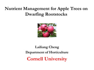 Nutrient Management for Apple Trees on
Dwarfing Rootstocks
Lailiang Cheng
Department of Horticulture
Cornell University
 