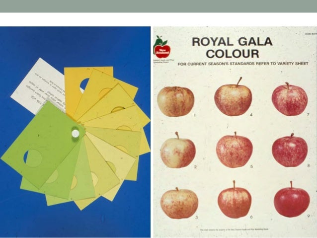 apple color in iodine test