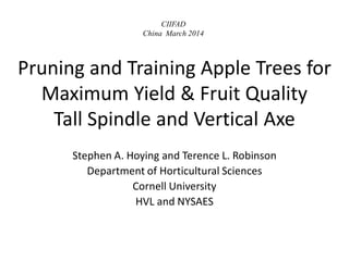 Pruning and Training Apple Trees for
Maximum Yield & Fruit Quality
Tall Spindle and Vertical Axe
Stephen A. Hoying and Terence L. Robinson
Department of Horticultural Sciences
Cornell University
HVL and NYSAES
CIIFAD
China March 2014
 