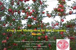 Crop Load Management for Best Economic
Results
Terence Robinson, Alan Lakso and Steve Hoying
Dept. of Horticulture
NYSAES, Cornell University
Geneva, NY 14456
 