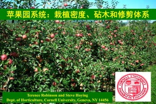 苹果园系统：栽植密度、砧木和修剪体系
Terence Robinson and Steve Hoying
Dept. of Horticulture, Cornell University, Geneva, NY 14456
 