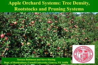 Apple Orchard Systems: Tree Density,
Rootstocks and Pruning Systems
Terence Robinson and Steve Hoying
Dept. of Horticulture, Cornell University, Geneva, NY 14456
 