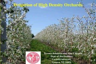 Irrigation of High Density Orchards
Terence Robinson and Alan Lakso
Dept. of Horticulture
Cornell University
Geneva, NY 14456
 