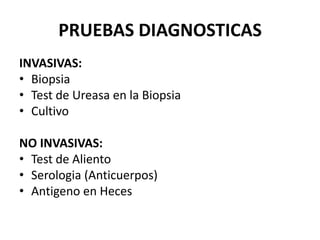 PRUEBAS DIAGNOSTICAS
INVASIVAS:
• Biopsia
• Test de Ureasa en la Biopsia
• Cultivo
NO INVASIVAS:
• Test de Aliento
• Serologia (Anticuerpos)
• Antigeno en Heces
 