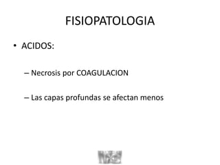 FISIOPATOLOGIA
• ACIDOS:
– Necrosis por COAGULACION
– Las capas profundas se afectan menos
 