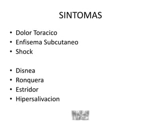 SINTOMAS
• Dolor Toracico
• Enfisema Subcutaneo
• Shock
• Disnea
• Ronquera
• Estridor
• Hipersalivacion
 