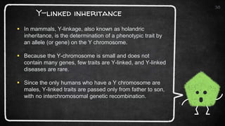 PPT-GENETICS.pptx