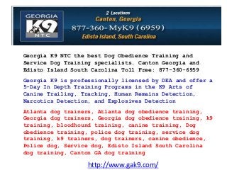 http://www.gak9.com/
Georgia K9 NTC the best Dog Obedience Training and
Service Dog Training specialists. Canton Georgia and
Edisto Island South Carolina Toll Free: 877-360-6959
Georgia K9 is professionally licensed by DEA and offer a
5-Day In Depth Training Programs in the K9 Arts of
Canine Trailing, Tracking, Human Remains Detection,
Narcotics Detection, and Explosives Detection
Atlanta dog trainers, Atlanta dog obedience training,
Georgia dog trainers, Georgia dog obedience training, k9
training, bloodhound training, canine training, Dog
obedience training, police dog training, service dog
training, k9 trainers, dog trainers, canine obedience,
Police dog, Service dog, Edisto Island South Carolina
dog training, Canton GA dog training
 