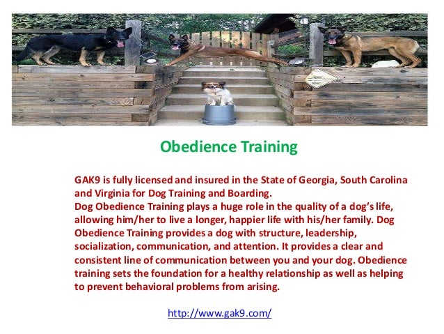 Dog Obedience Training South Carolina Dog Obedience Training South Carolina