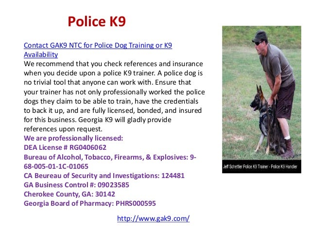 K Companion Service Dogs K Companion Service Dogs