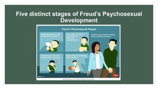 Five distinct stages of Freud’s Psychosexual
Development
 