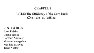 CHAPTER 1
TITLE: The Efficiency of the Corn Husk
(Zea mays) as fertilizer
RESEARCHERS:
Atun Keizha
Litana Yeshua
Lomerio Andridge
Mataverde Angelica
Mestiola Dwayne
Tarog Ashley
 