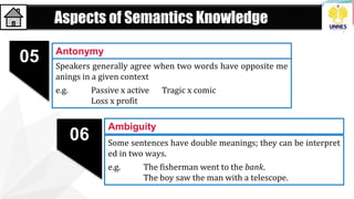 Aspects of Semantics Knowledge
Speakers generally agree when two words have opposite me
anings in a given context
e.g. Passive x active Tragic x comic
Loss x profit
Antonymy
05
06 Some sentences have double meanings; they can be interpret
ed in two ways.
e.g. The fisherman went to the bank.
The boy saw the man with a telescope.
Ambiguity
 