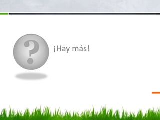 ? ¡Hay más!
 