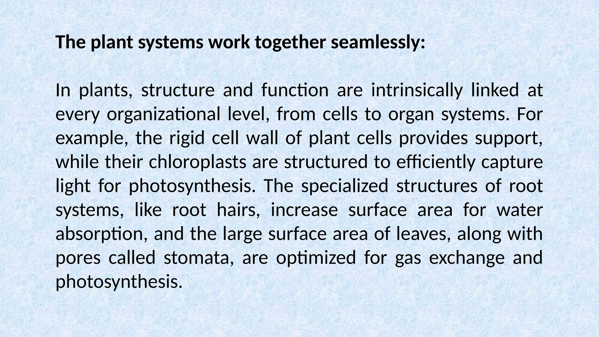 The plant systems work together seamlessly:
In plants, structure and function are intrinsically linked at
every organizational level, from cells to organ systems. For
example, the rigid cell wall of plant cells provides support,
while their chloroplasts are structured to efficiently capture
light for photosynthesis. The specialized structures of root
systems, like root hairs, increase surface area for water
absorption, and the large surface area of leaves, along with
pores called stomata, are optimized for gas exchange and
photosynthesis.
 