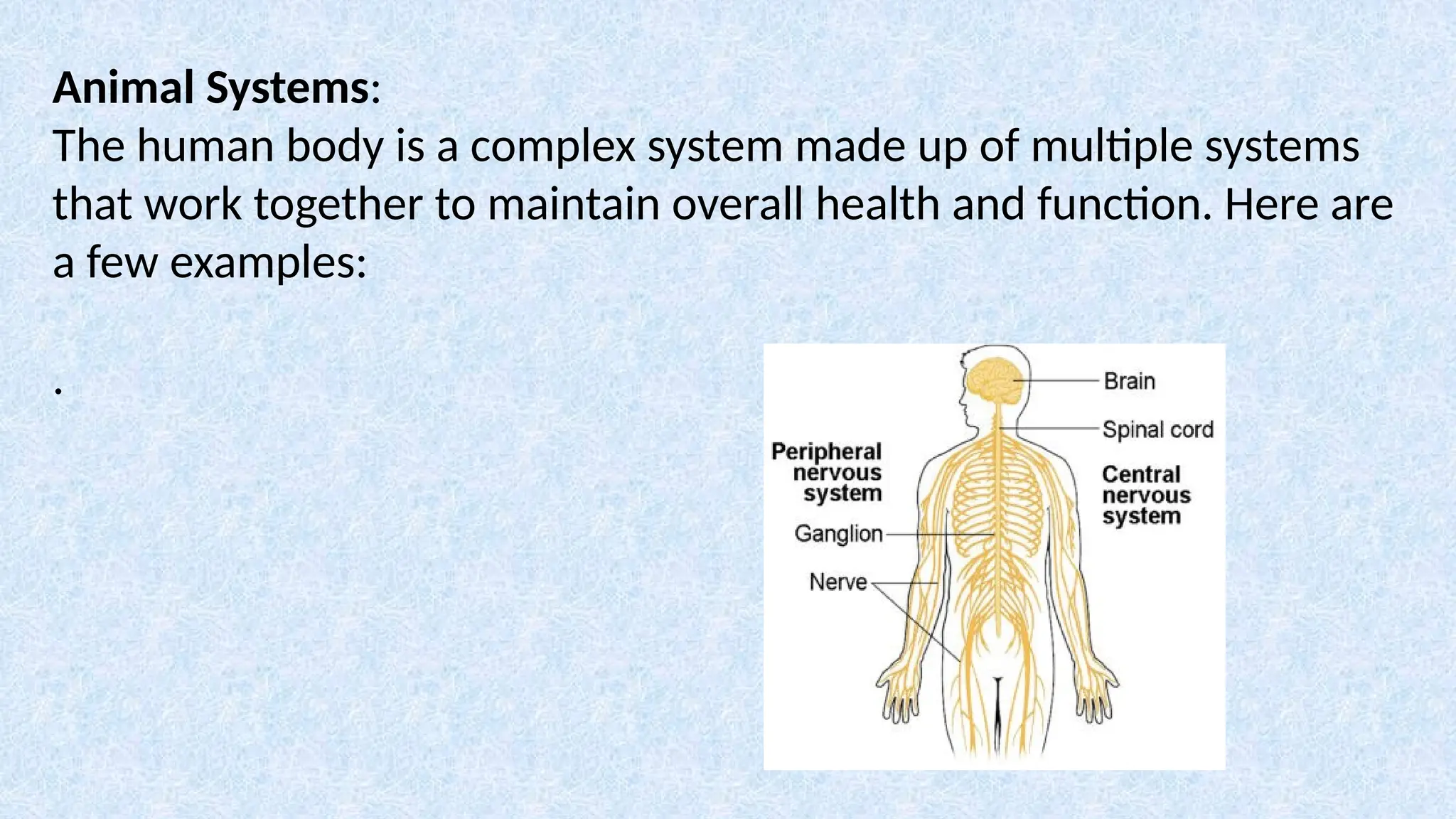 Animal Systems:
The human body is a complex system made up of multiple systems
that work together to maintain overall health and function. Here are
a few examples:
.
 