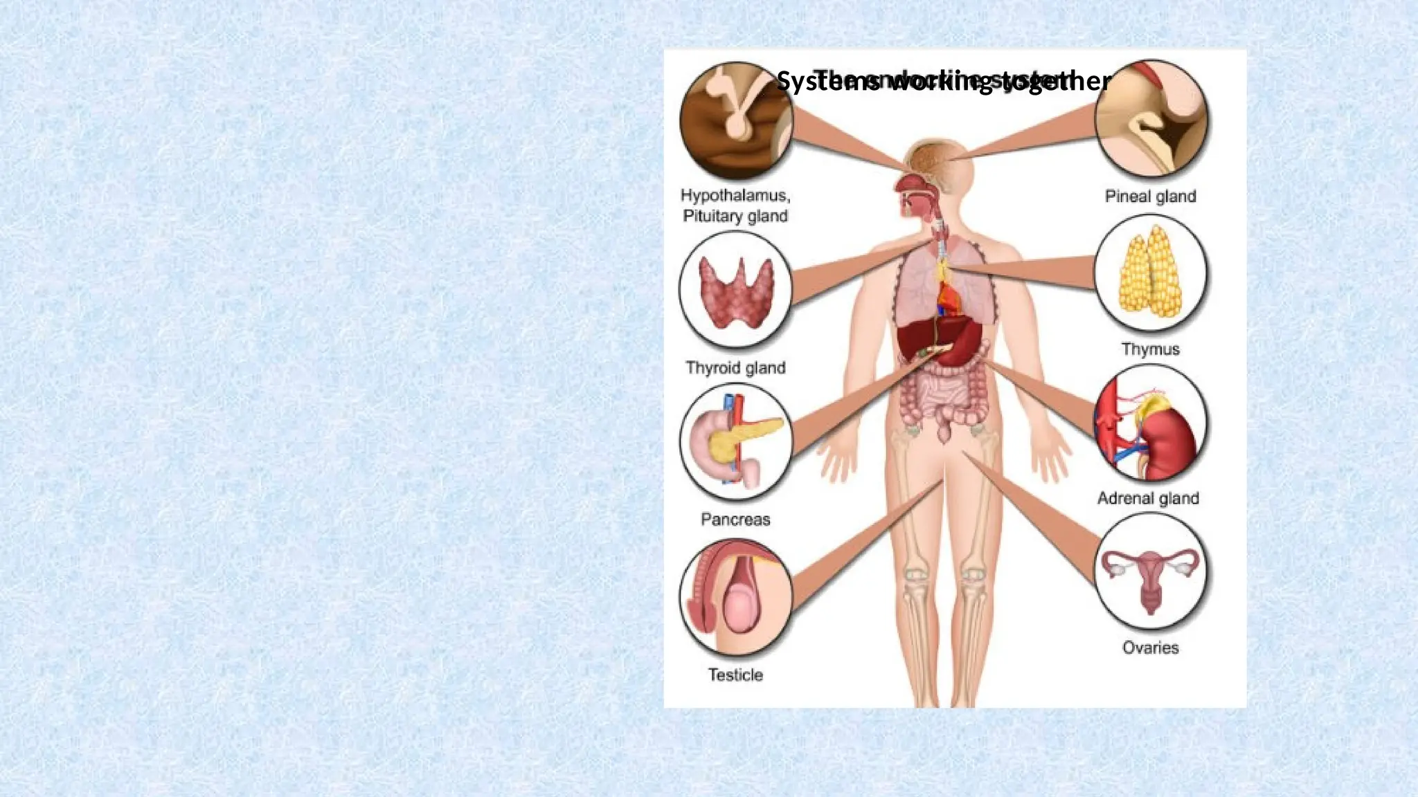 Systems working together
 
