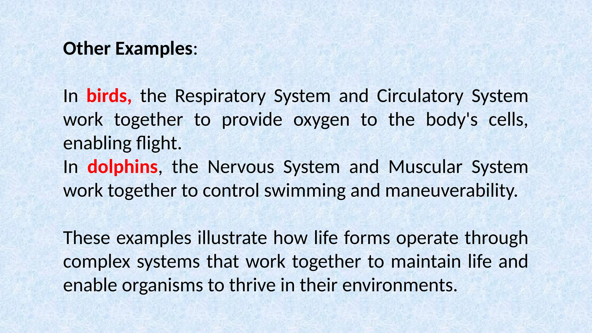 Other Examples:
In birds, the Respiratory System and Circulatory System
work together to provide oxygen to the body's cells,
enabling flight.
In dolphins, the Nervous System and Muscular System
work together to control swimming and maneuverability.
These examples illustrate how life forms operate through
complex systems that work together to maintain life and
enable organisms to thrive in their environments.
 