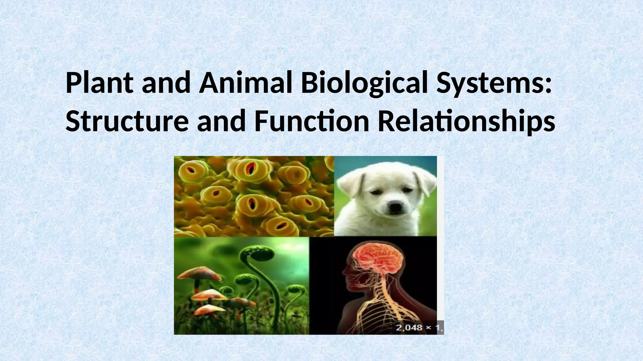 Plant and Animal Biological Systems:
Structure and Function Relationships
 
