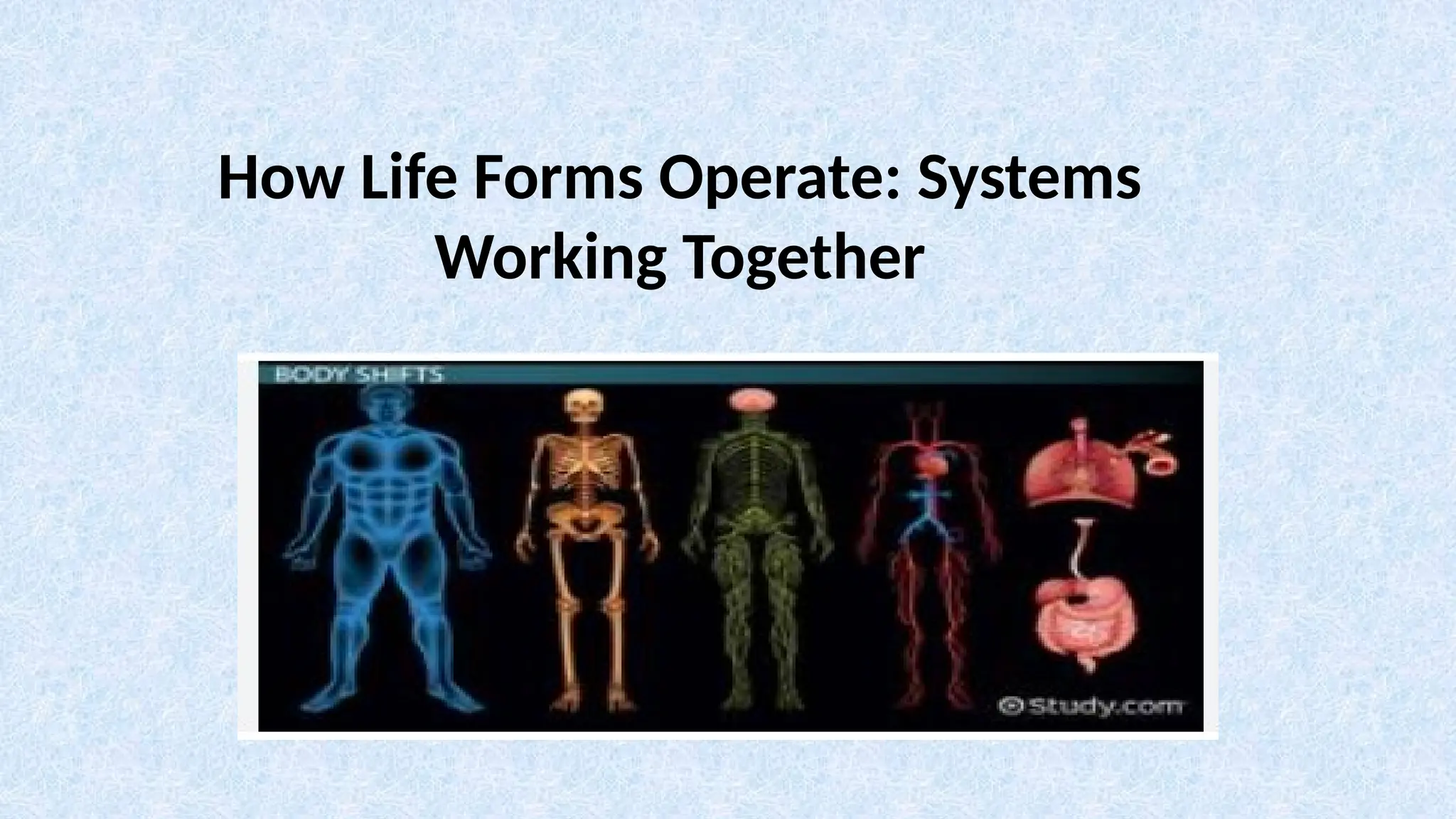 How Life Forms Operate: Systems
Working Together
 