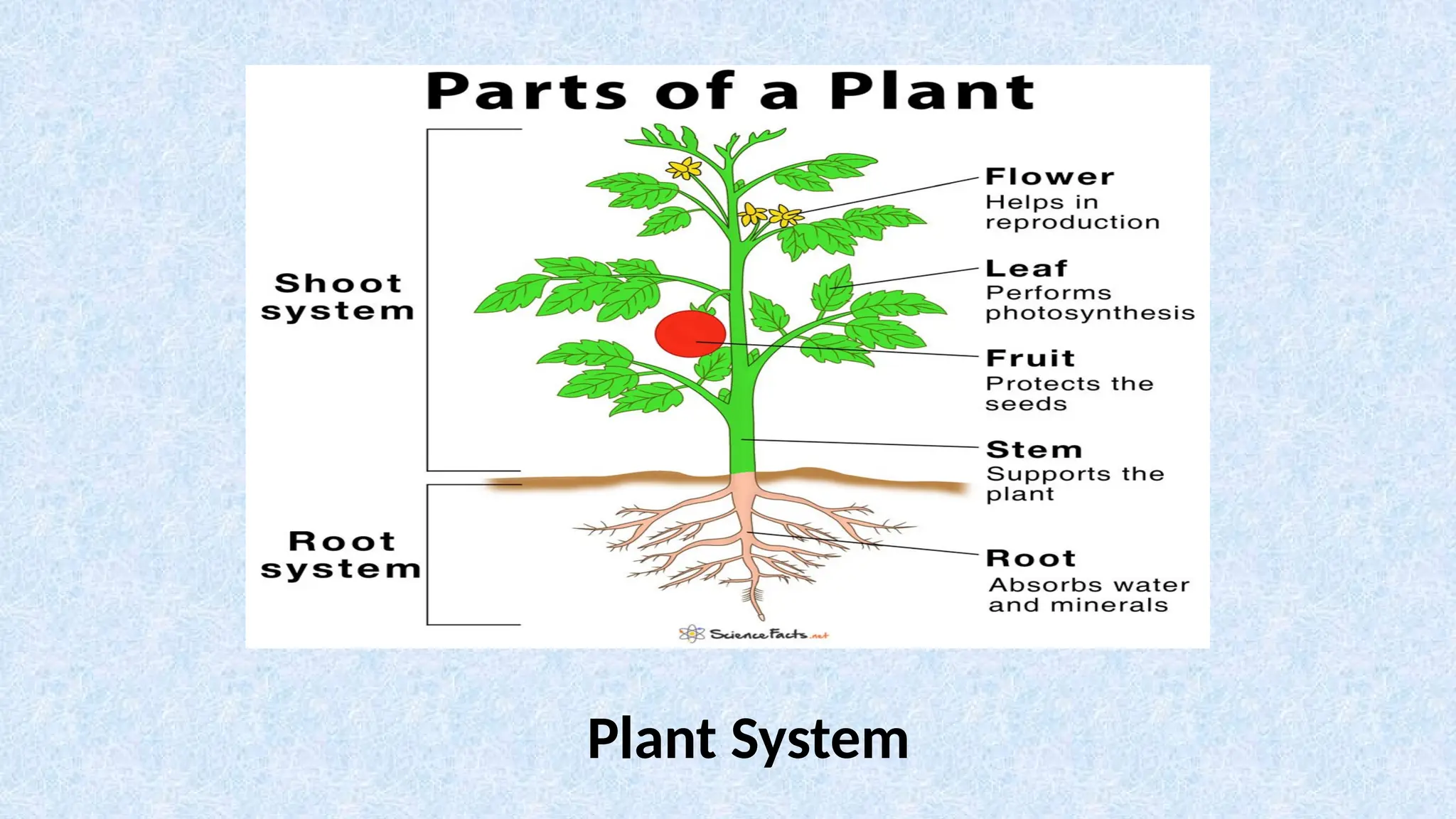 Plant System
 