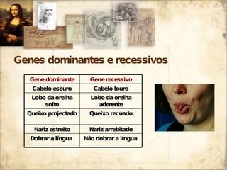Genes dominantes e recessivos Não dobrar a língua  Dobrar a língua  Nariz arrebitado Nariz estreito Queixo recuado Queixo projectado Lobo da orelha aderente Lobo da orelha solto Cabelo louro Cabelo escuro Gene recessivo Gene dominante 