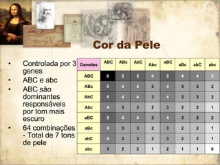 Cor da Pele Controlada por 3 genes ABC e abc ABC são dominantes responsáveis por tom mais escuro 64 combinações - Total de 7 tons de pele 0 1 1 2 1 2 2 3 abc 1 2 2 3 2 3 3 4 abC 1 2 2 3 2 3 3 4 aBc 2 3 3 4 3 4 4 5 aBC 1 2 2 3 2 3 3 4 Abc 2 3 3 4 3 4 4 5 AbC 2 3 3 4 3 4 4 5 ABc 3 4 4 5 4 5 5 6 ABC   abc    abC    aBc    aBC    Abc    AbC    ABc    ABC  Gametes 