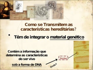Como se Transmitem as características hereditárias? Têm de integrar o  material genético Contém a informação que determina as características do ser vivo sob a forma de  DNA Onde? Núcleo 