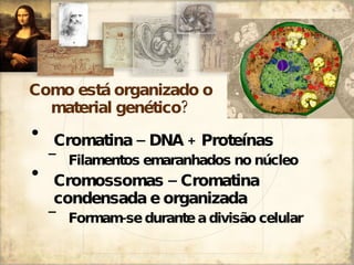 Como está organizado o material genético? Cromatina  – DNA + Proteínas Filamentos emaranhados no núcleo Cromossomas  – Cromatina condensada e organizada Formam-se durante a divisão celular 