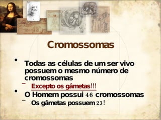 Cromossomas Todas as células de um ser vivo possuem o mesmo número de cromossomas Excepto os gâmetas!!! O Homem possui 46 cromossomas Os gâmetas possuem 23! 