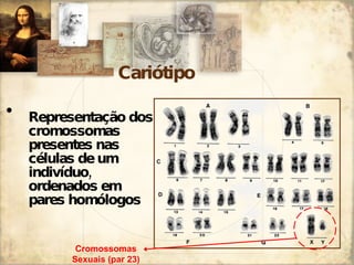Cariótipo Representação dos cromossomas presentes nas células de um indivíduo, ordenados em pares homólogos Cromossomas Sexuais (par 23) 