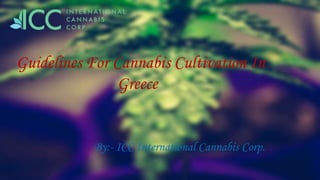 Guidelines For Cannabis Cultivation In
Greece
By:- ICC International Cannabis Corp.
 