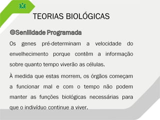 TEORIAS BIOLÓGICAS
 