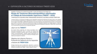 PPT- INDUCCIÓN.pptx