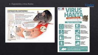 PPT- INDUCCIÓN.pptx