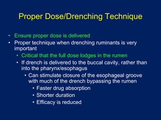 Drench In Ruminant Integrating Anthelmintics, FAMACHA and Other Alternative Measures for ...