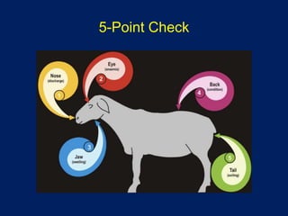 Five Point Check Instrumentation Integrating Anthelmintics, FAMACHA and Other Alternative Measures for ...