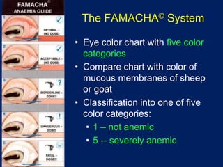 Integrating Anthelmintics Famacha And Other Alternative Measures For