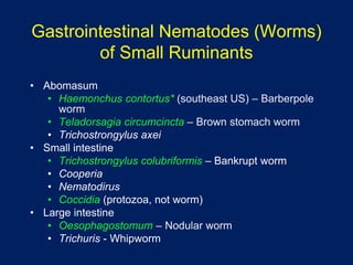Integrating Anthelmintics, FAMACHA and Other Alternative Measures for Controlling Nematodes in Small Ruminants Slide 4