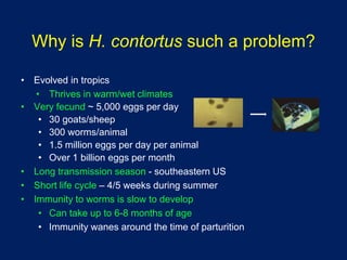 Integrating Anthelmintics, FAMACHA and Other Alternative Measures for Controlling Nematodes in Small Ruminants Slide 9