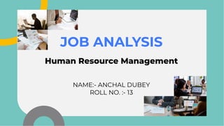 JOB ANALYSIS
JOB ANALYSIS
Human Resource Management
NAME:- ANCHAL DUBEY
ROLL NO. :- 13
 