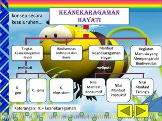 2
membahas
Tingkat
Keanekaragaman
Hayati
Biodiversitas
Indonesia dan
dunia
Manfaat
Keanekaragaman
Hayati
Kegiatan
Manusia yang
Mempengaruhi
Biodiversitas
meliputi
K.
ekosistem
K. jenis
K.
gen
meliputi
Nilai
Manfaat
Ekologis
Nilai
Manfaat
Produktif
Nilai
Manfaat
Konsumtif
Keterangan: K.= keanekaragaman
konsep secara
keseluruhan...
KEANEKARAGAMAN
HAYATI
 