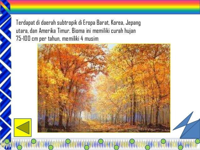 Ppt keanekaragaman-hayati1