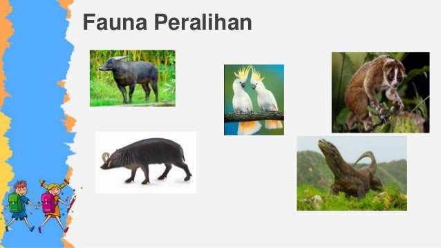 Ppt keanekaragaman hayati ips kelas 4 sd